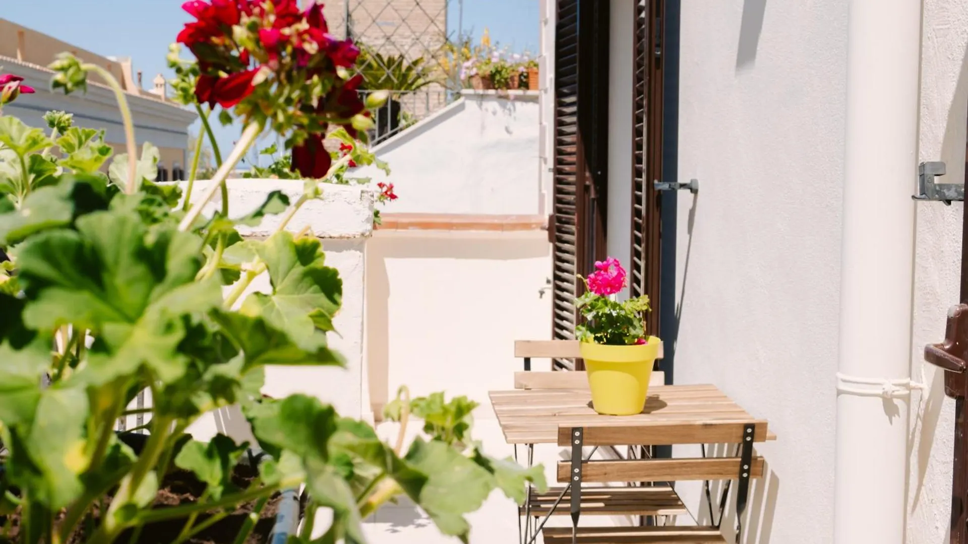 Casa Antonia - Terrace & Suites Bari